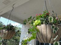 DSC09882