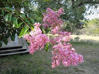 DSC09884