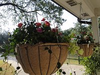 DSC09893