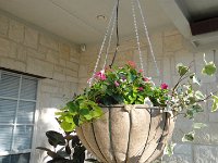DSC09895