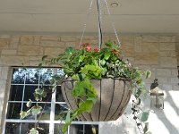 DSC09897
