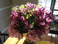 DSC09904