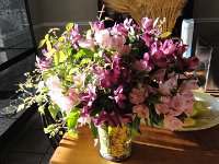 DSC09906
