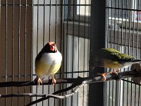 DSC09914