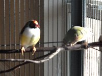 DSC09915