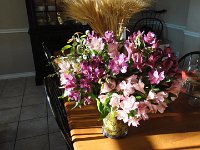 DSC09919