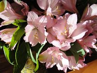 DSC09925