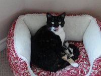 DSC09935