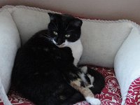 DSC09936