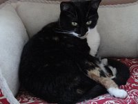 DSC09937