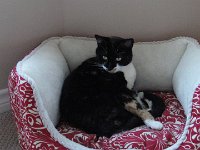 DSC09938