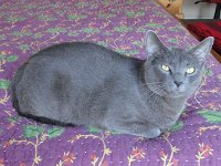 DSC09939