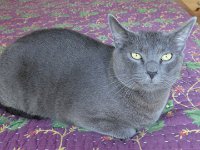 DSC09940