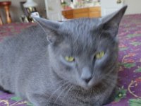 DSC09941