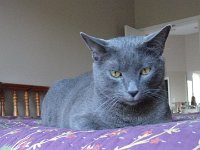 DSC09943