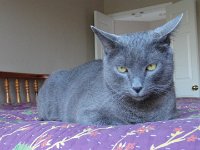 DSC09944