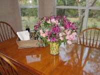 DSC09953
