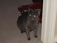 DSC09961