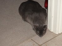 DSC09962