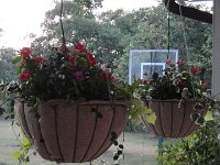 DSC09977