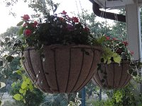 DSC09978