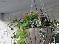 DSC09980