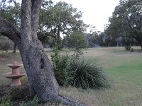 DSC09984