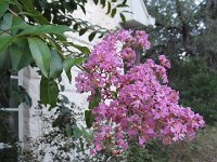 DSC09986