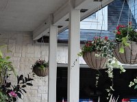 DSC09990