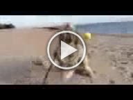 IMG 0389