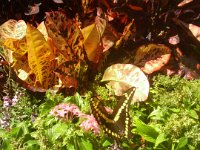 IMG 20111004 144303