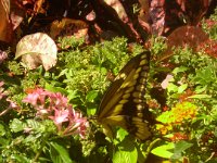 IMG 20111004 144328
