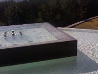 IMG 20120105 123902