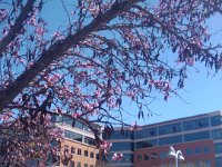 IMG 20120305 113451