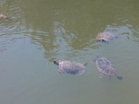 IMG 20120923 125318