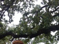 IMG 20120929 100326