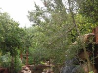 IMG 20120929 105656
