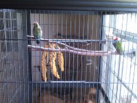 IMG 20120930 102650