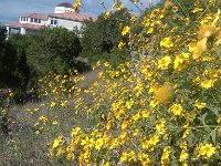 IMG 20121023 160914