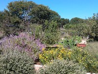 IMG 20121028 121157