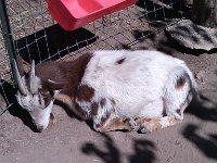 IMG 20121028 123114
