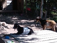 IMG 20121028 123131