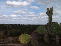 IMG 20121110 140238