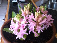 IMG 20130126 102538