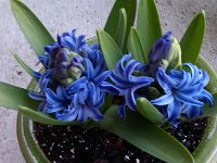 IMG 20130204 180317