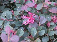 IMG 20130221 115538