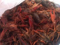 IMG 20130317 173903
