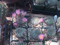 IMG 20130420 124512