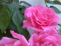 IMG 20130420 194304