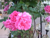 IMG 20130420 194330